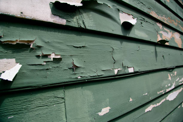 Best Electronics and E-Waste Disposal  in Ruthers, CA