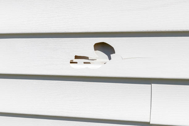 Shed Removal in Caruthers, CA